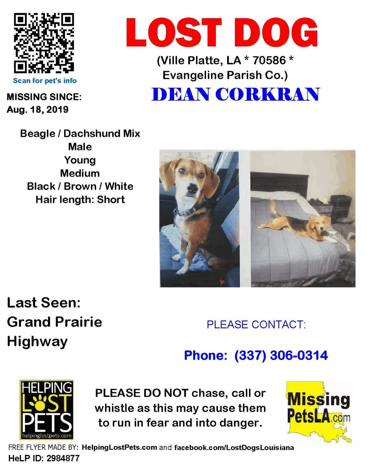 Lost dog in Washington, LA, 70589