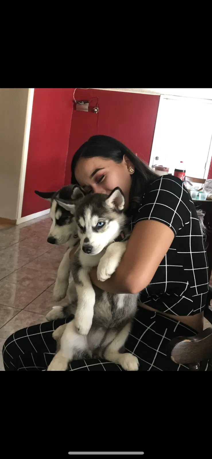 Lost dog in El Paso, TX, 79927
