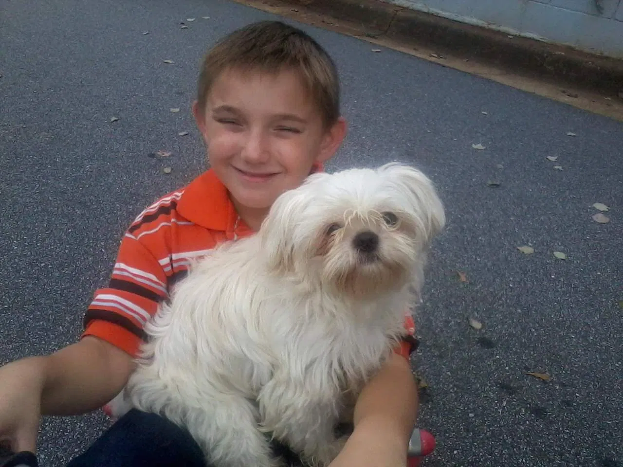 Lost dog in Pacolet, SC, 29372