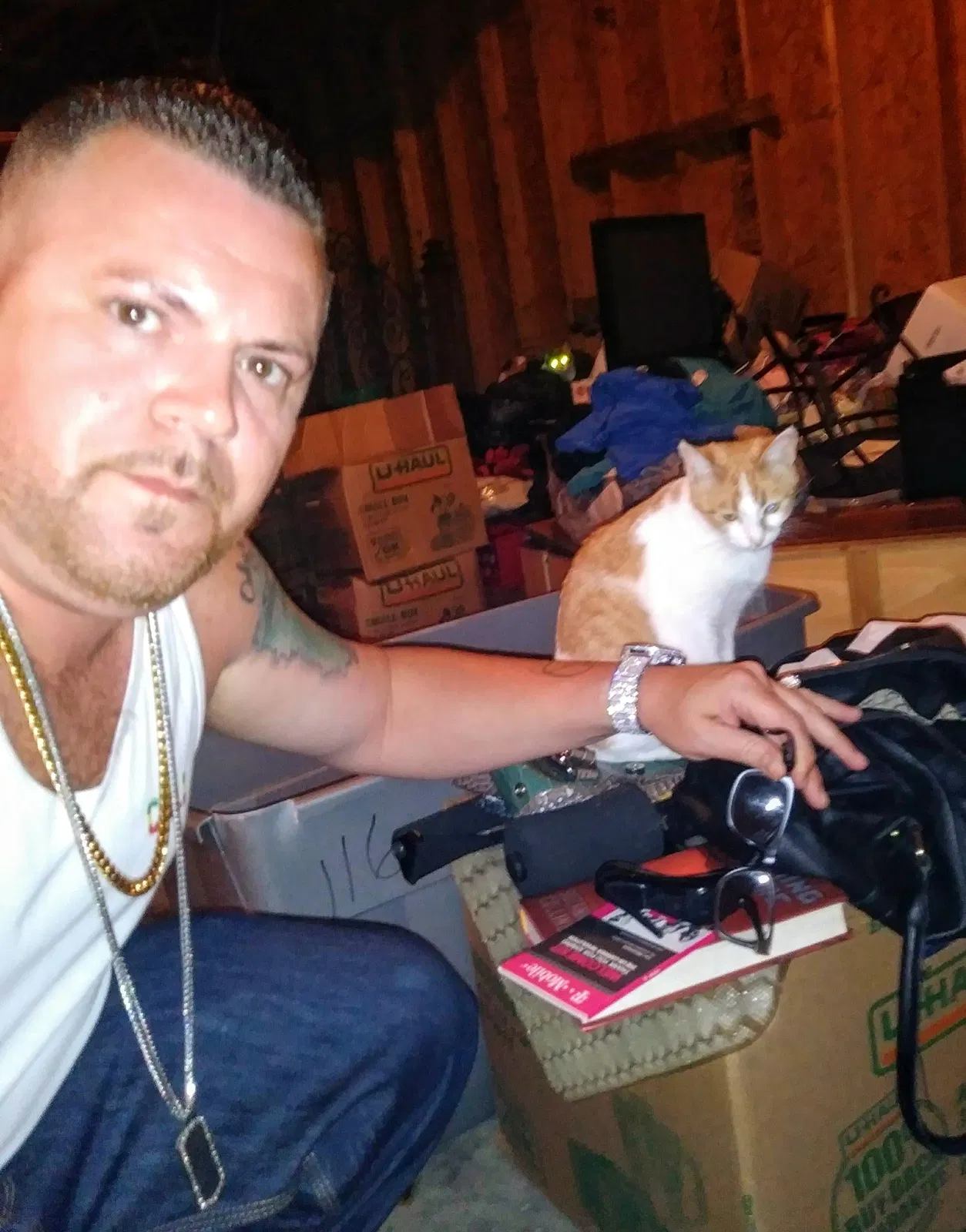 Lost cat in Bessemer, AL, 35022