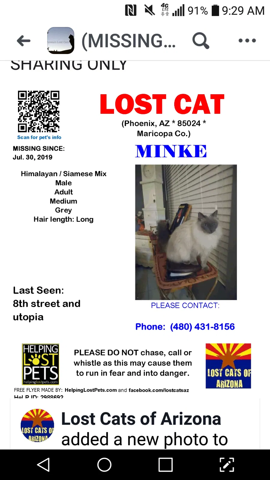 Lost cat in Phoenix, AZ, 85024