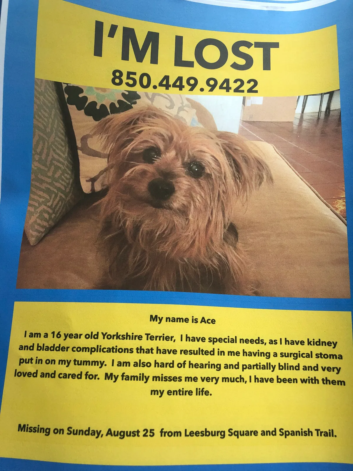 Lost dog in Pensacola, FL, 32504