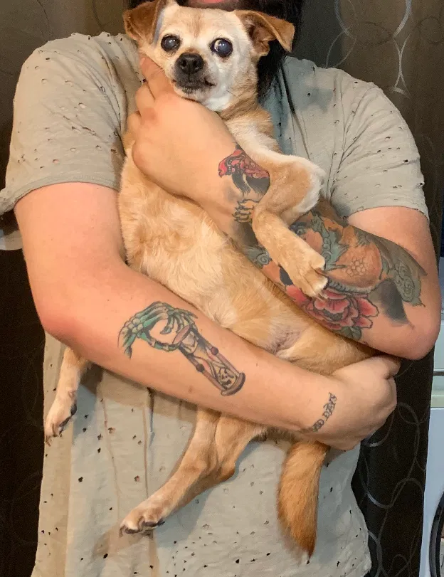 Lost dog in Sylmar, CA, 91342