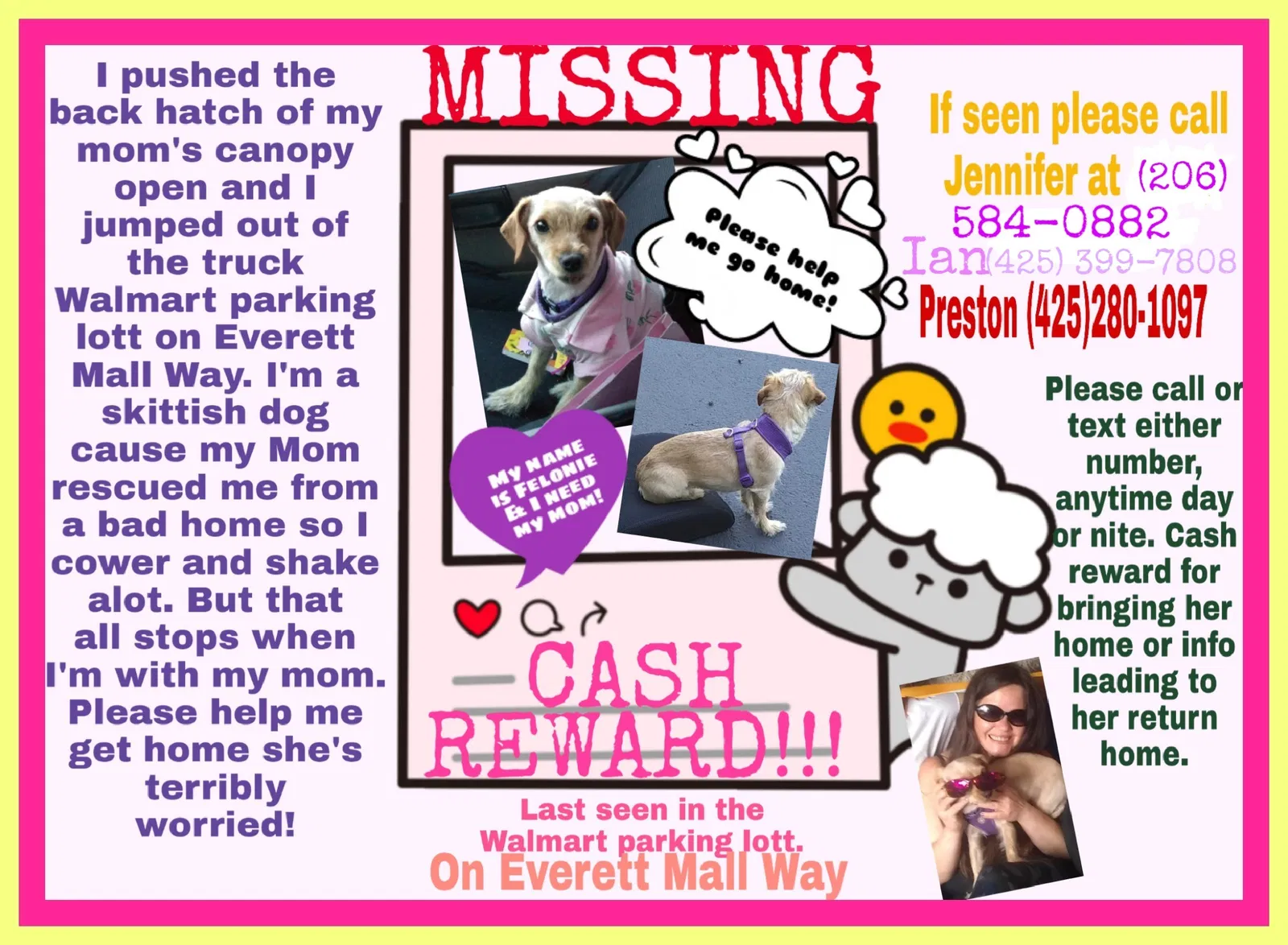 Lost dog in Everett, WA, 98203