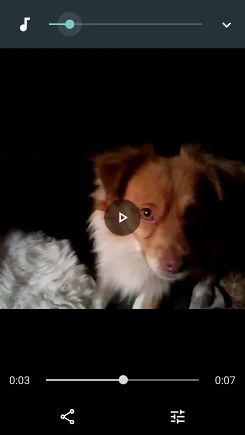 Lost dog in Arvin, CA, 93203