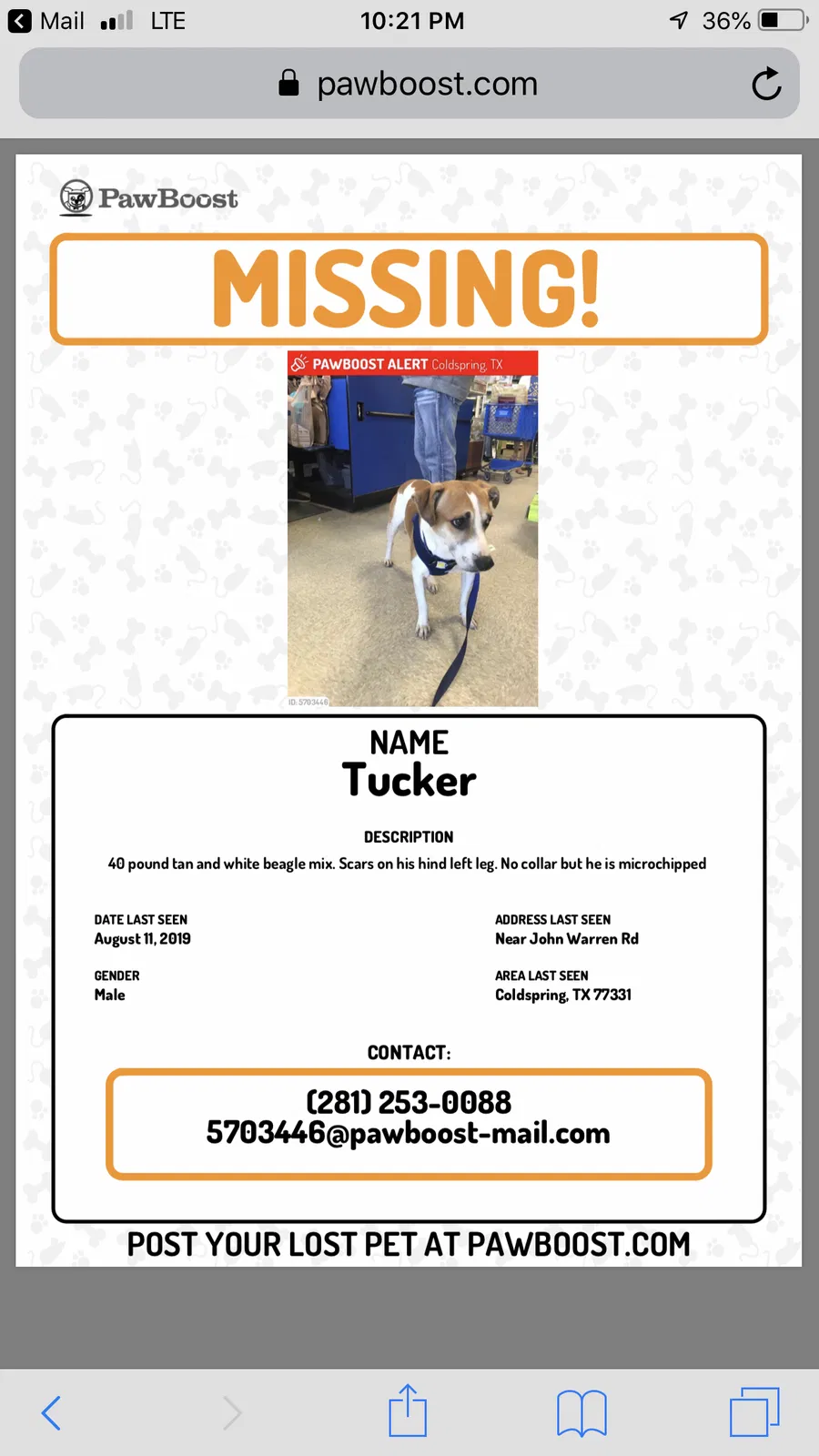Missing Dog