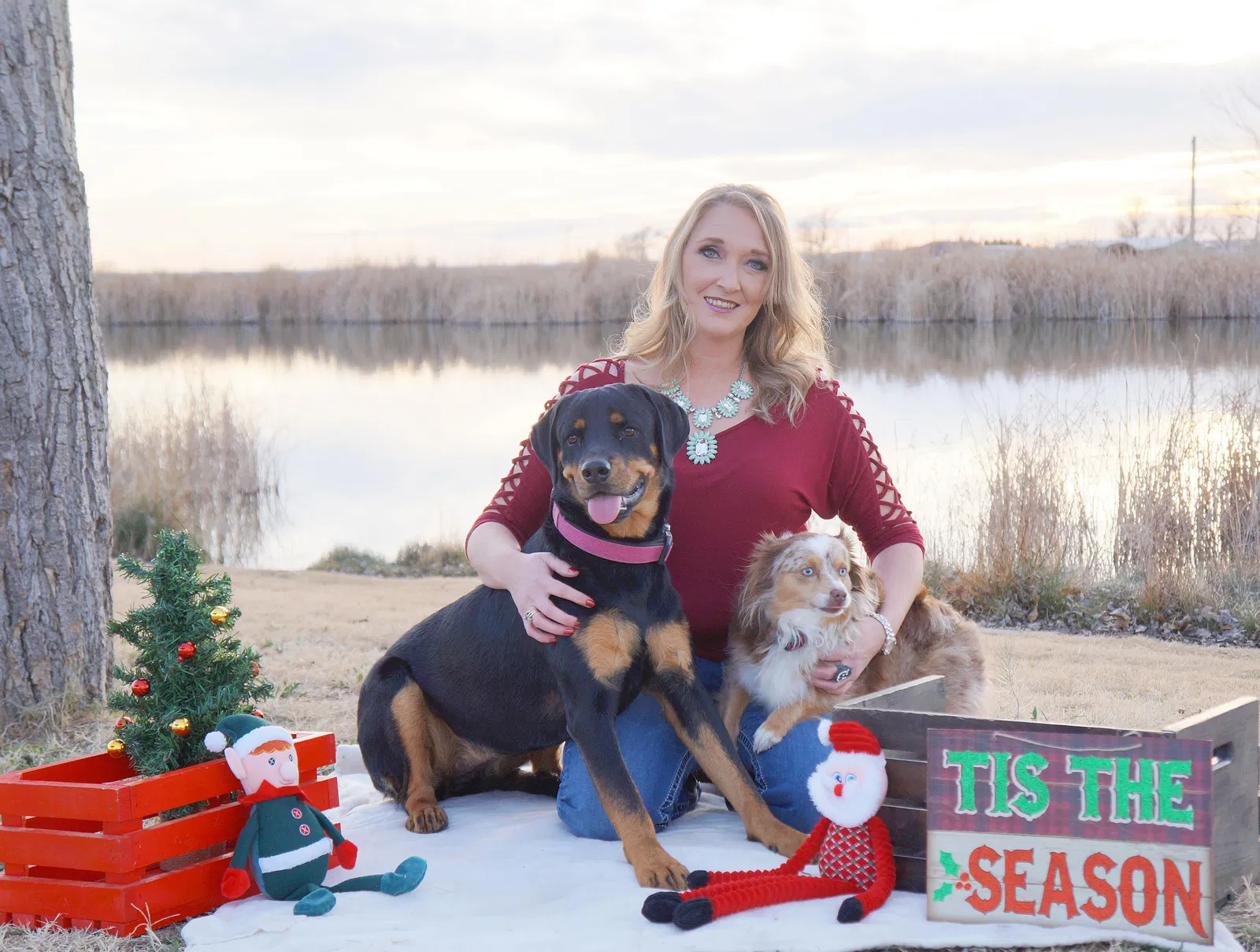 Lost dog in Jal, NM, 88252