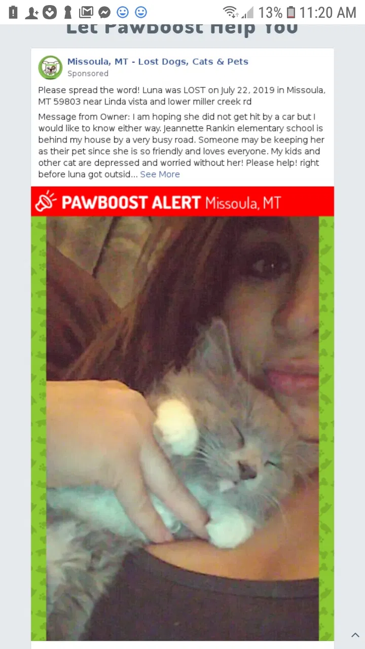Lost cat in Missoula, MT, 59803