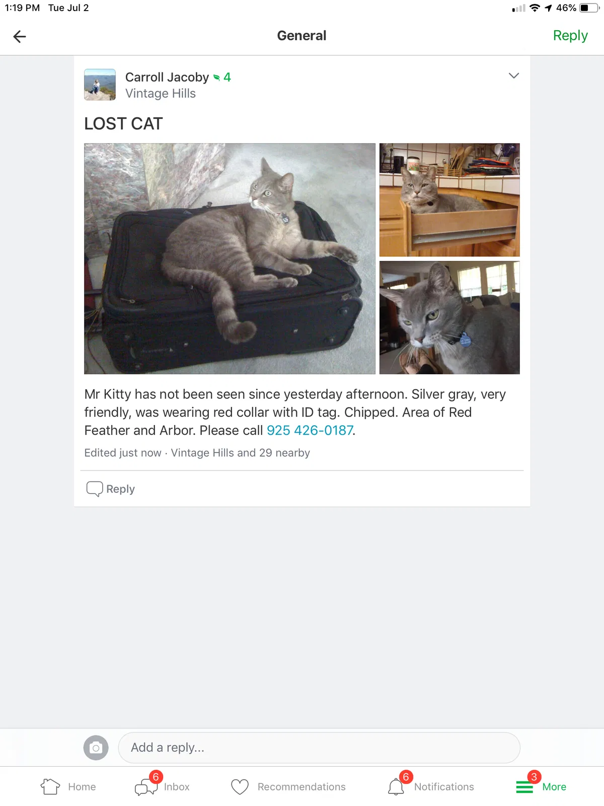 Lost cat in Pleasanton, CA, 94566