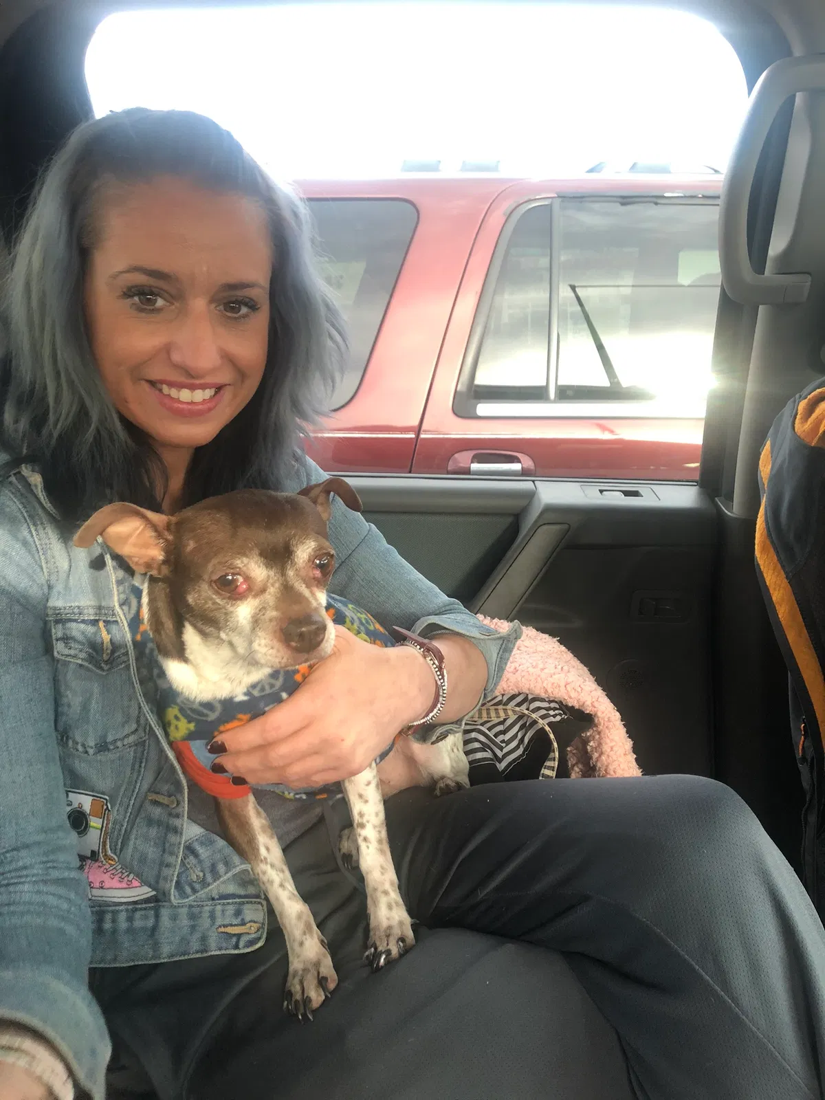 Lost dog in Denver, CO, 80219