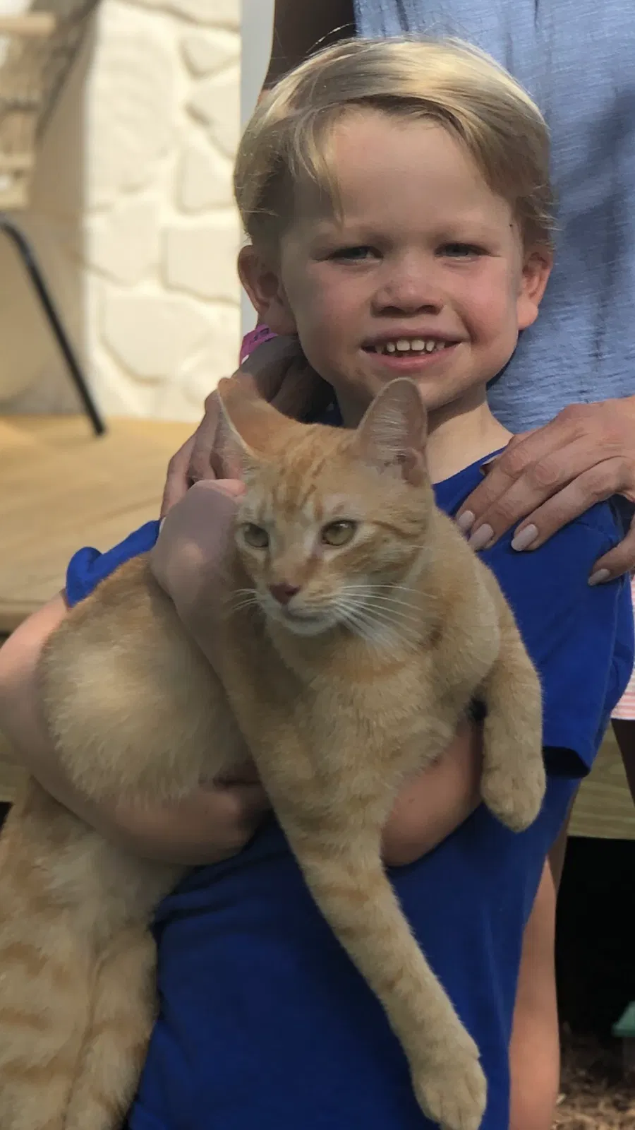 Lost cat in Wilmington, NC, 28411