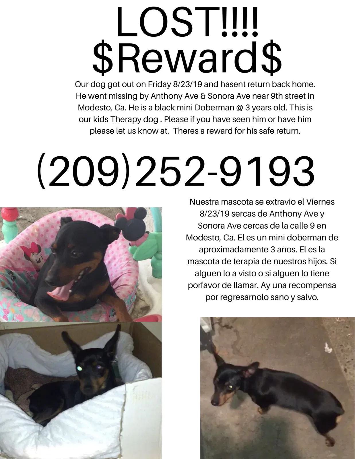 Lost dog in Modesto, CA, 95351