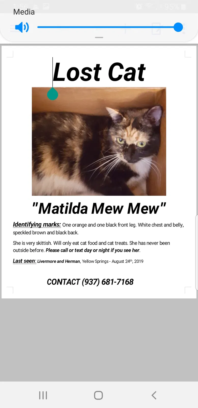 Lost cat in Yellow Springs, OH, 45387