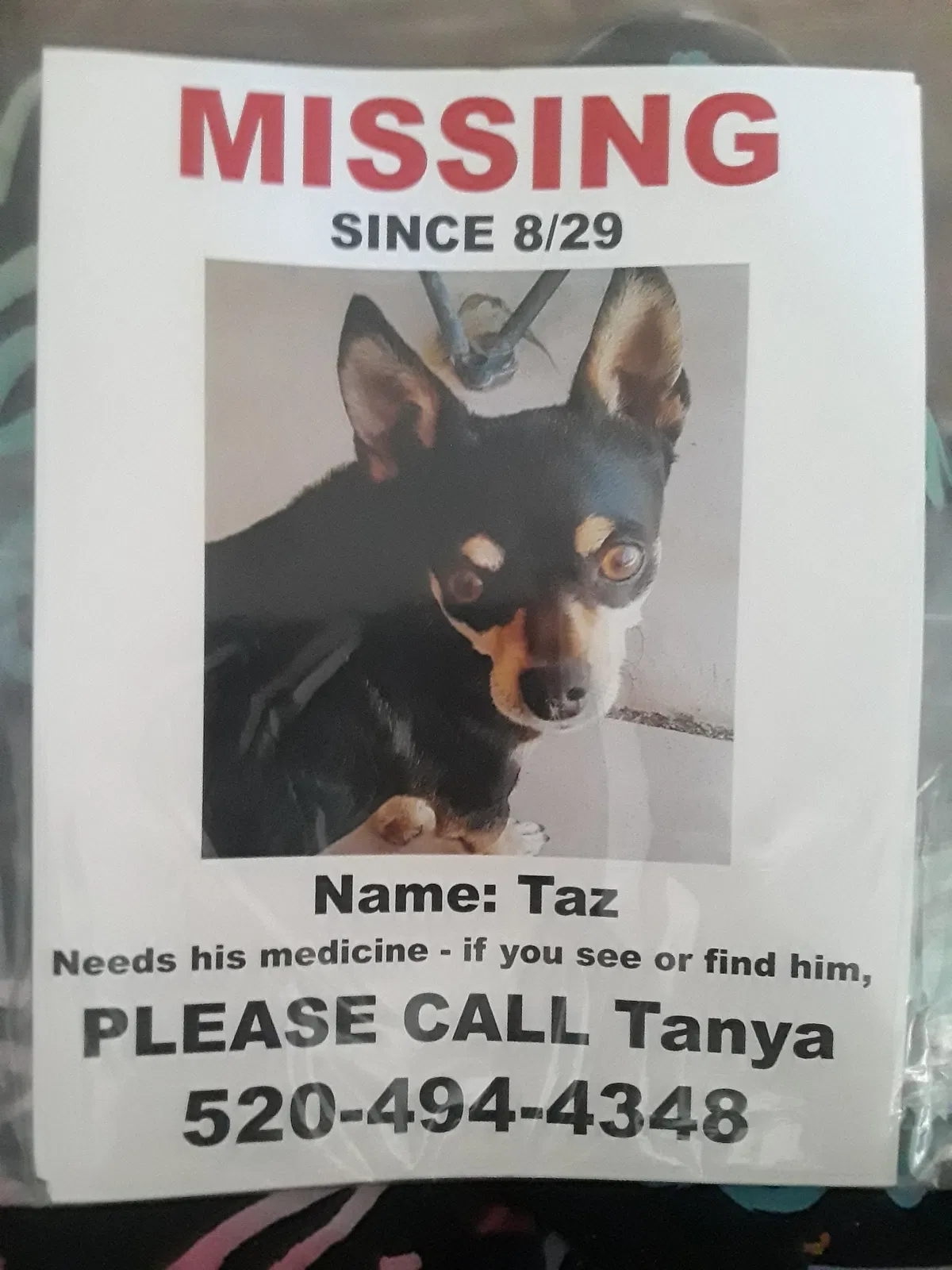 Lost dog in Arizona City, AZ, 85123