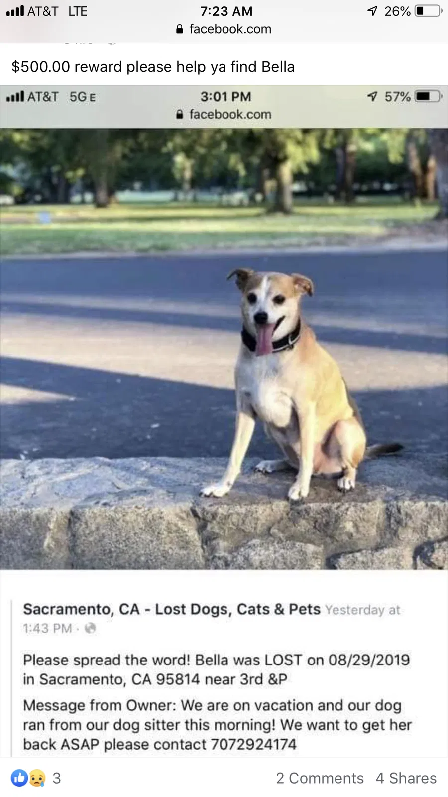 Lost dog in Sacramento, CA, 95814