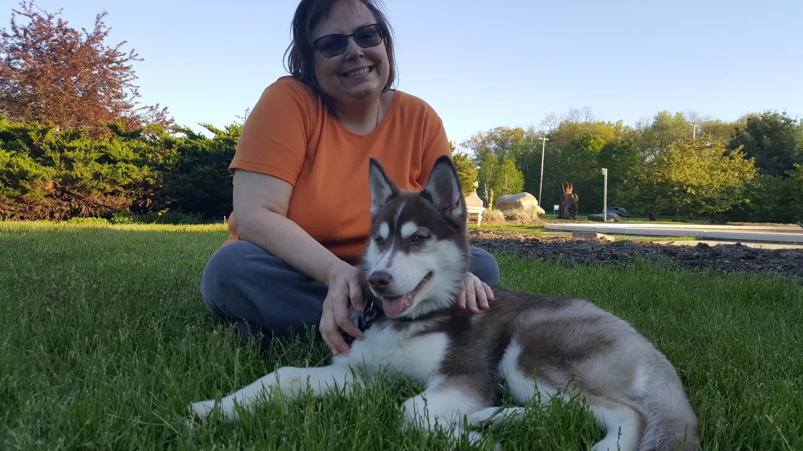 Lost dog in Battle Creek, MI, 49037