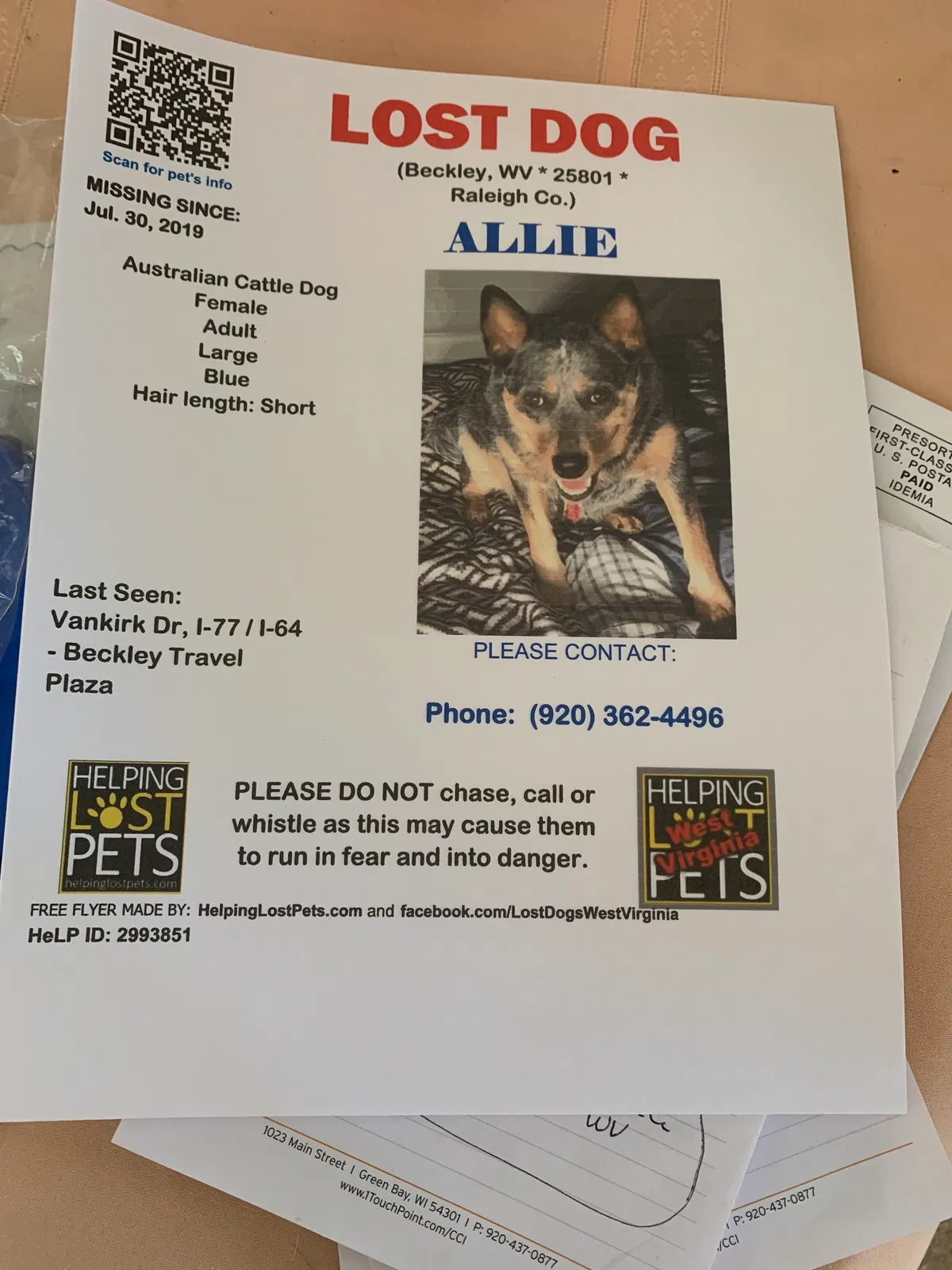 Lost dog in Beckley, WV, 25801