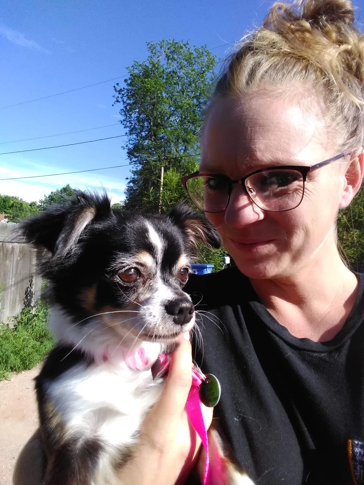 Lost dog in Loveland, CO, 80537