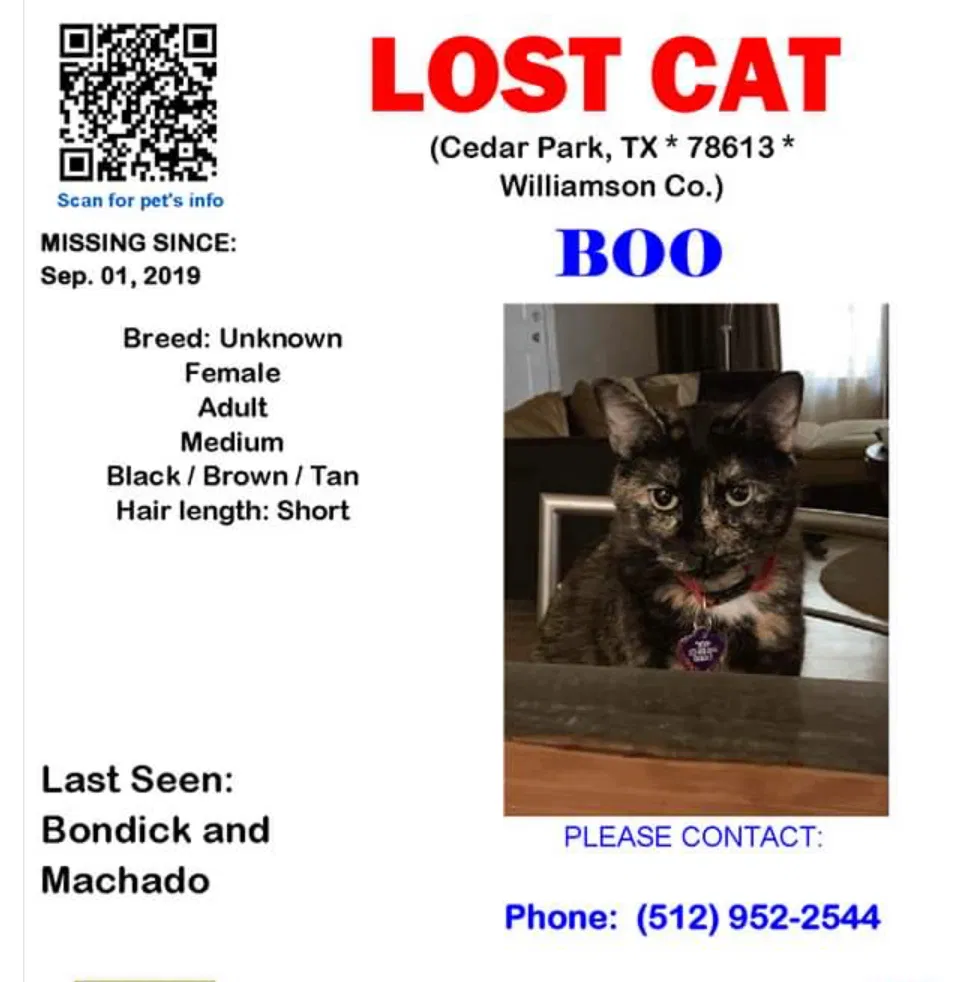 Lost cat in Cedar Park, TX, 78613