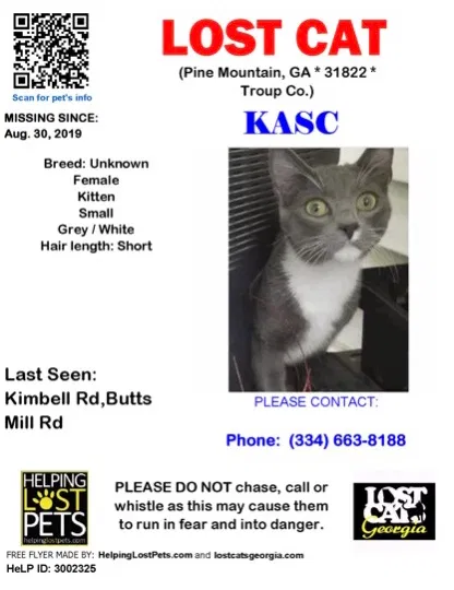 Lost cat in Pine Mountain, GA, 31822