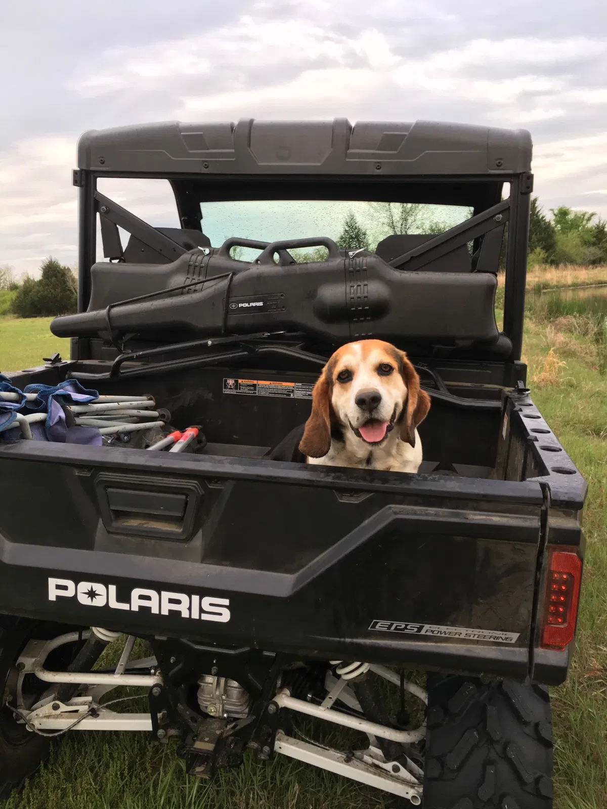Lost dog in Jay, OK, 74346