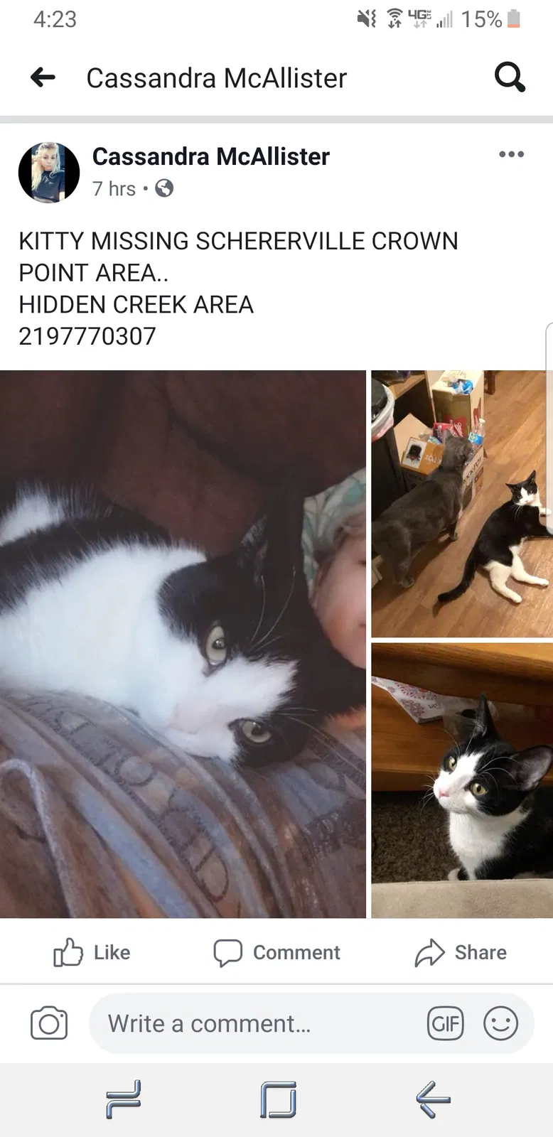 Lost cat in Crown Point, IN, 46307