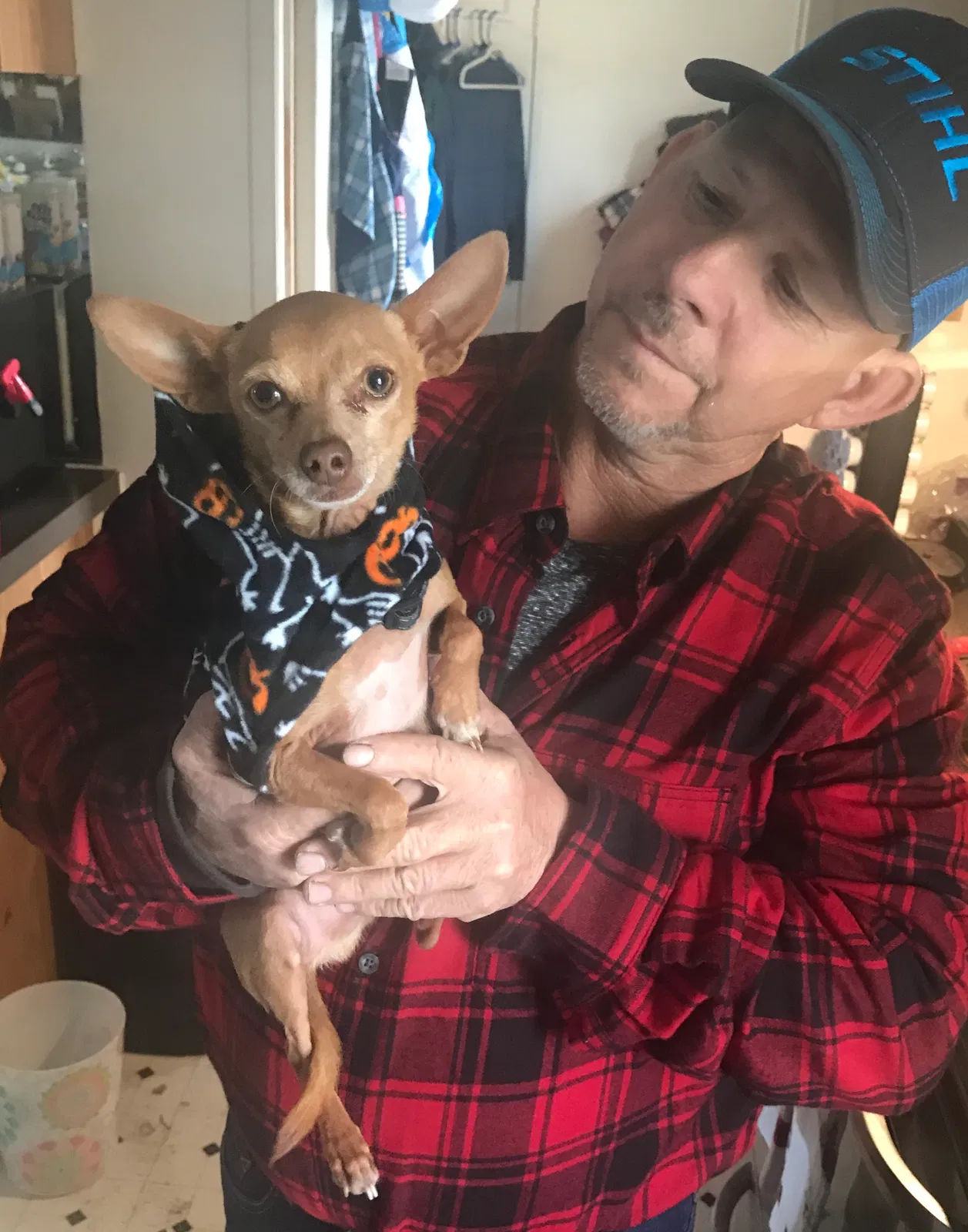 Lost dog in San Marcos, TX, 78666