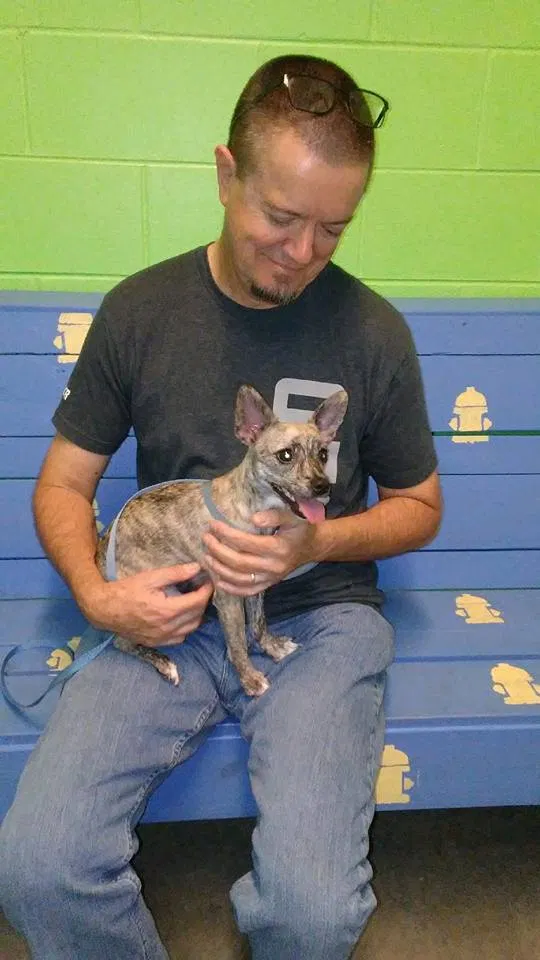 Lost dog in Saint Cloud, FL, 34771