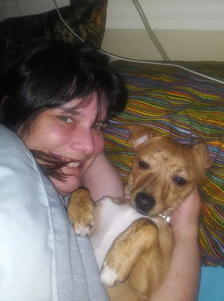 Lost dog in Vancouver, WA, 98661