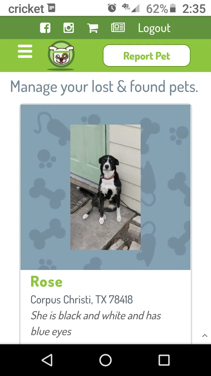 Lost dog in Corpus Christi, TX, 78418
