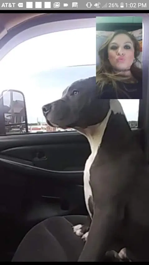 Lost dog in Unknown, OK, 74113