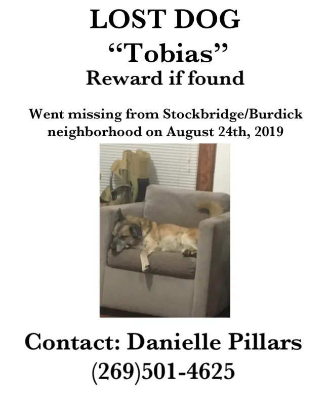 Lost dog in Kalamazoo, MI, 49001