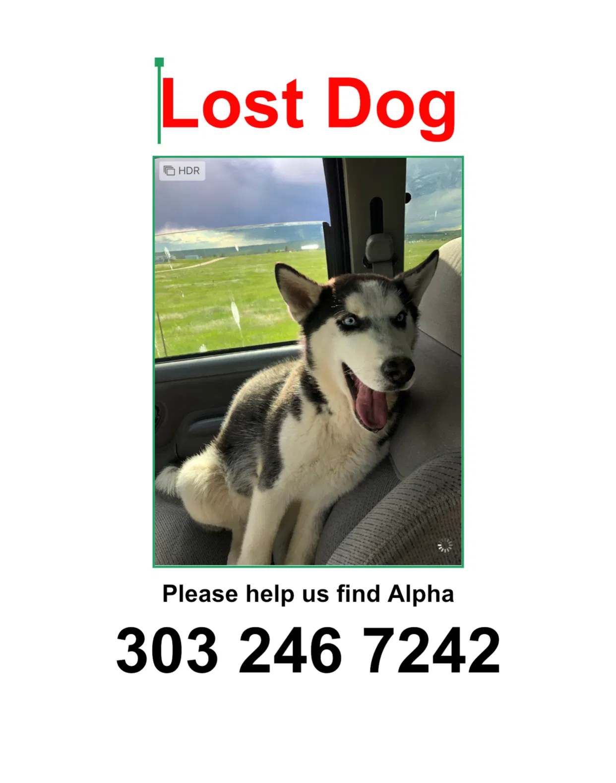 Lost dog in Kiowa, CO, 80117