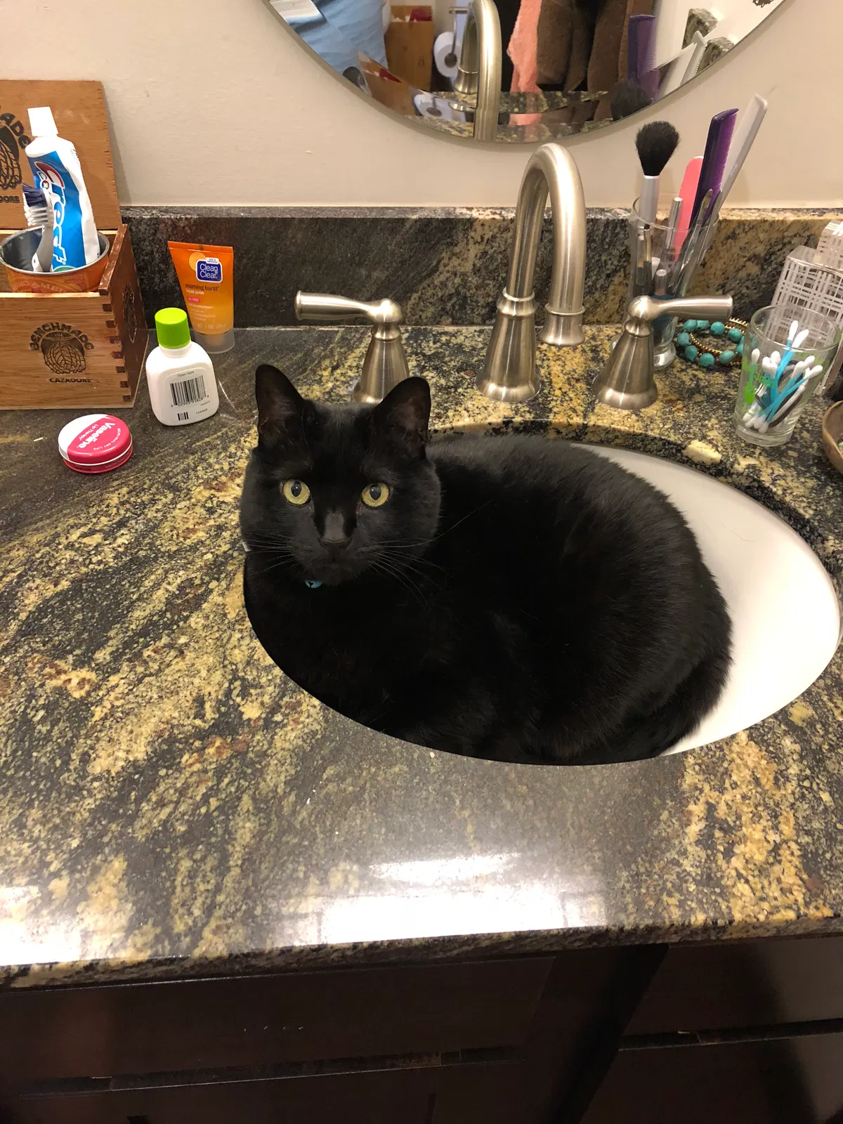 Lost cat in Tulsa, OK, 74106