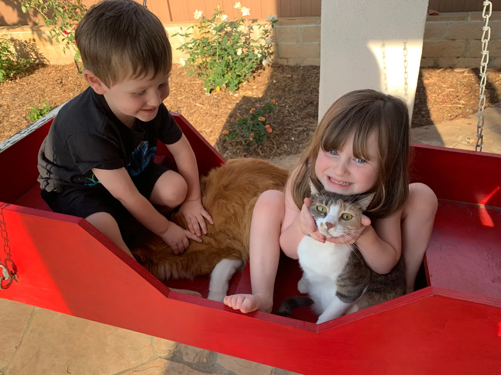 Lost cat in Carlsbad, CA, 92011
