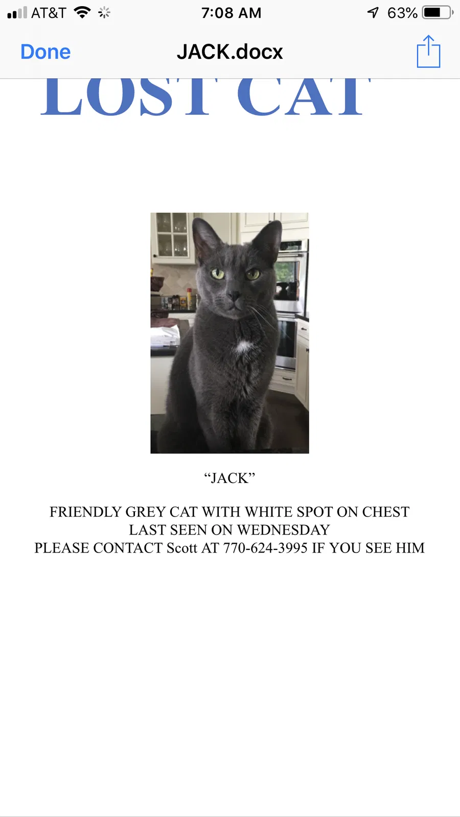 Lost cat in Broadview Heights, OH, 44147