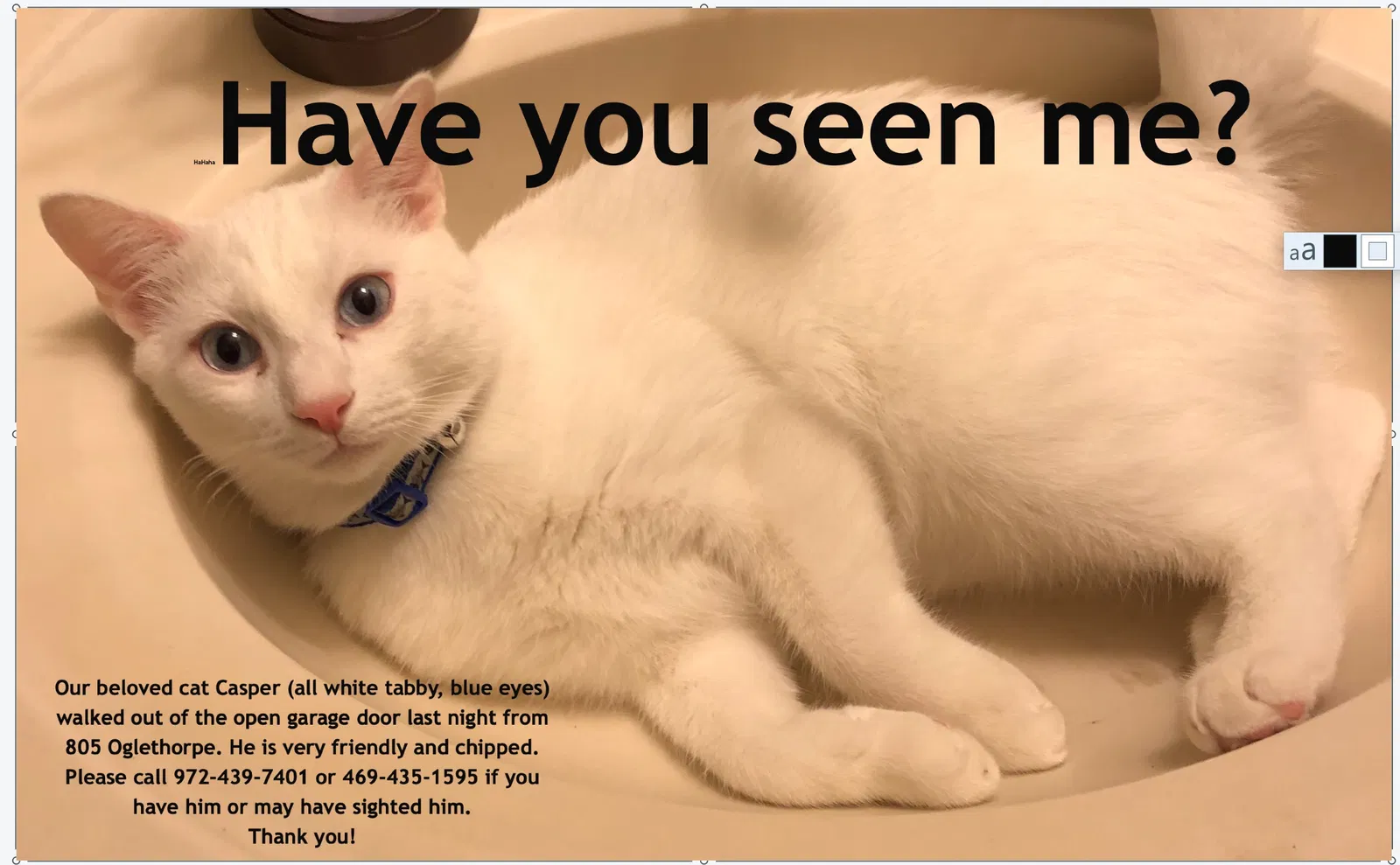 Lost cat in Aubrey, TX, 76227