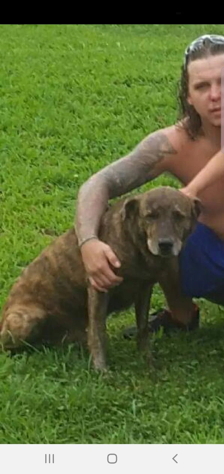 Lost dog in Dover, TN, 37058