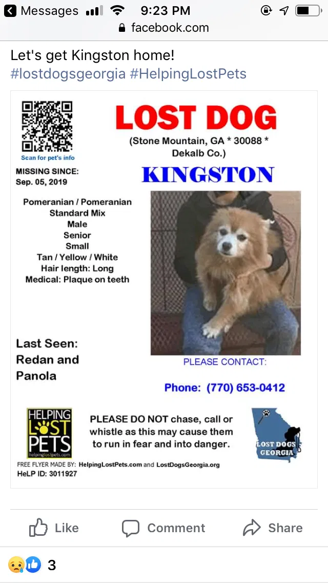 Lost dog in Lithonia, GA, 30058