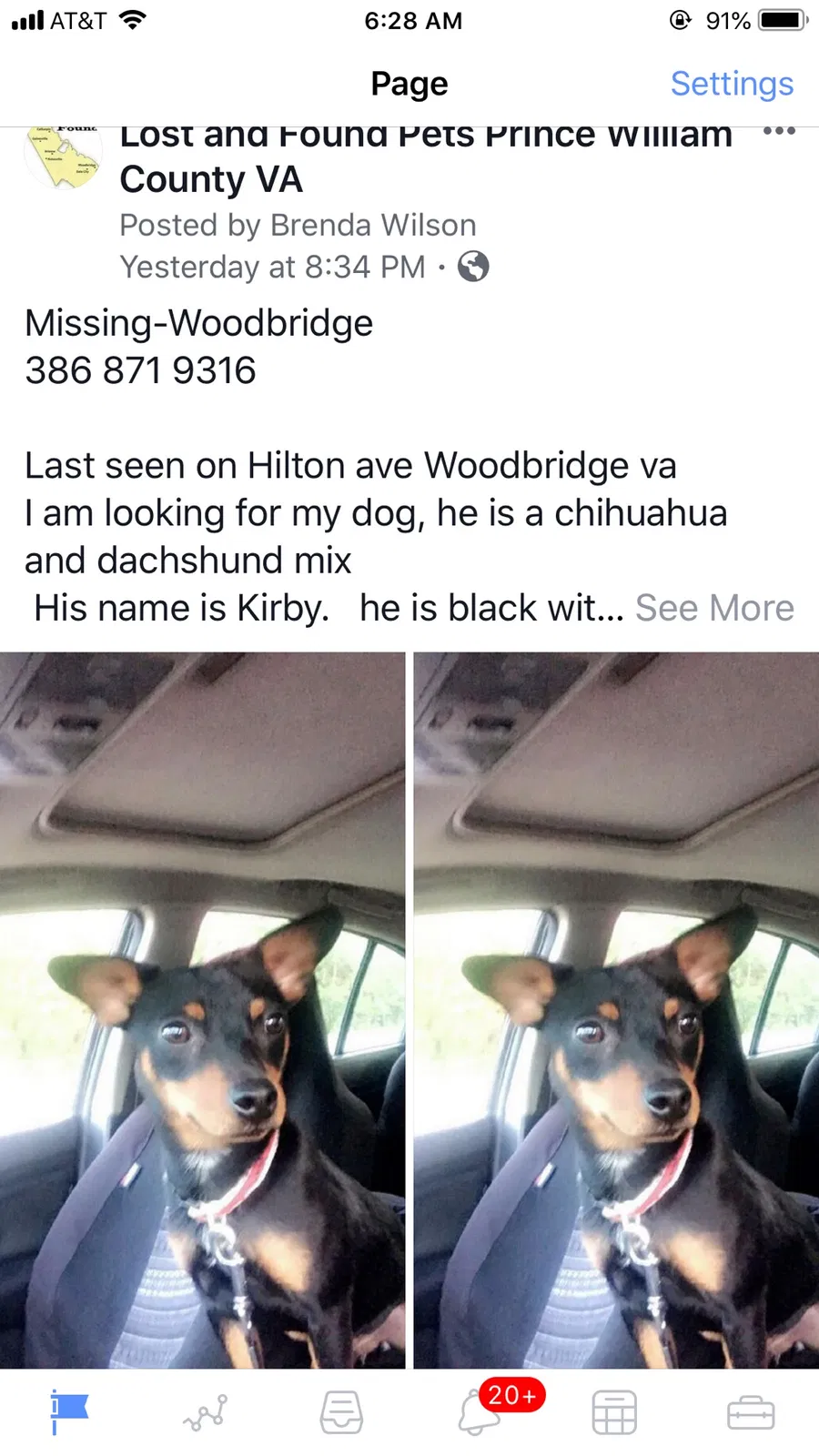 Lost dog in Woodbridge, VA, 22191