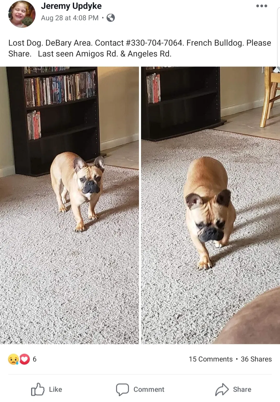 Lost dog in Debary, FL, 32713