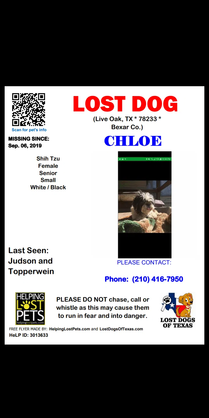 Lost dog in San Antonio, TX, 78233