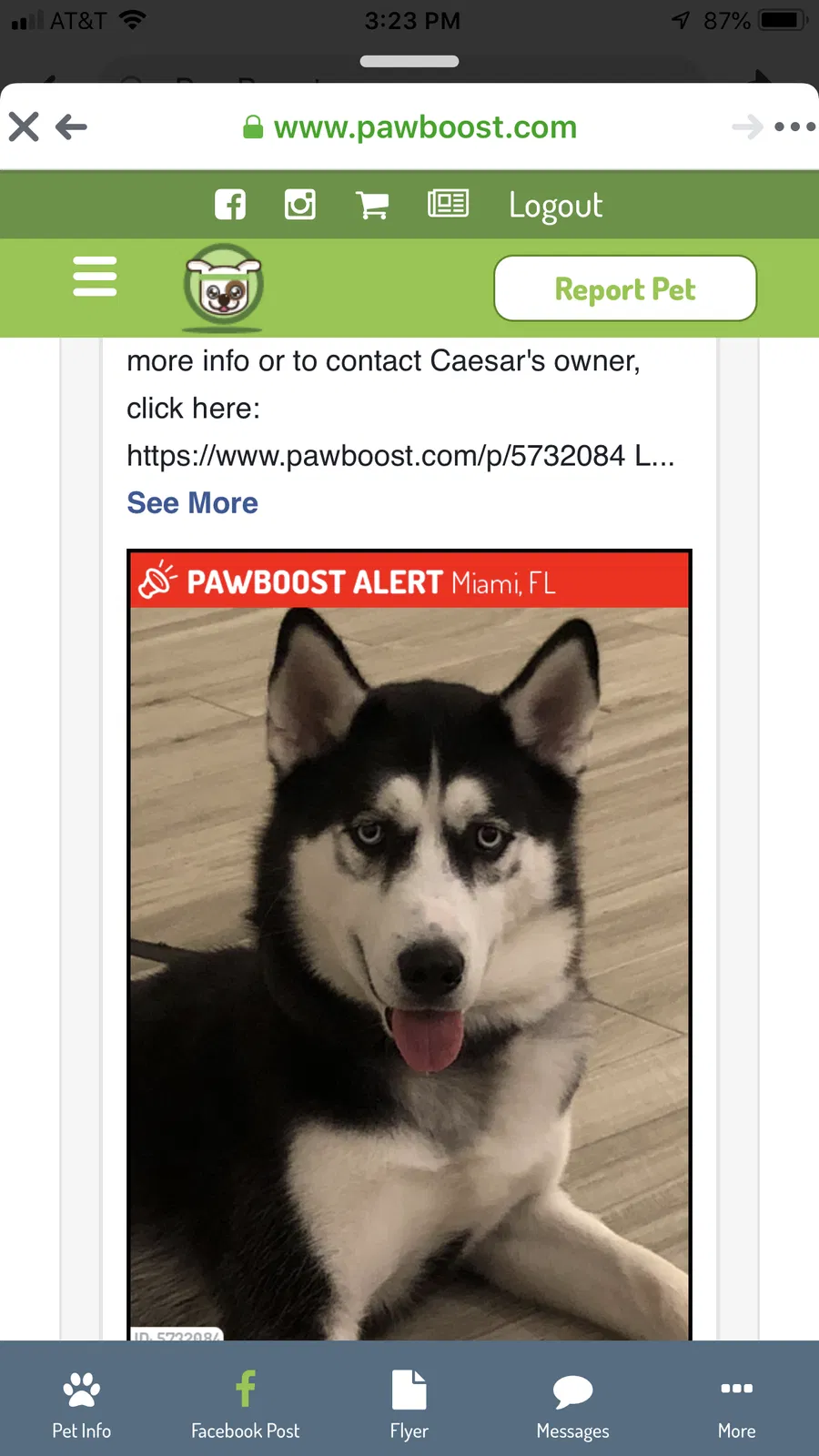 Lost dog in Miami, FL, 33175