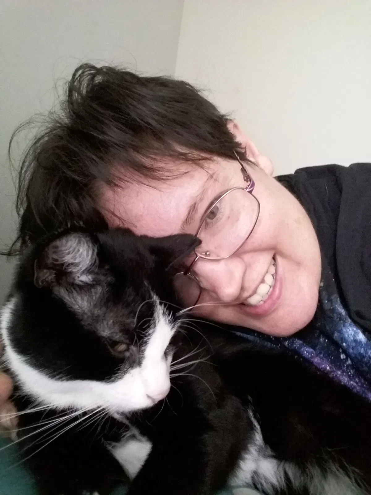 Lost cat in Lafayette, IN, 47905