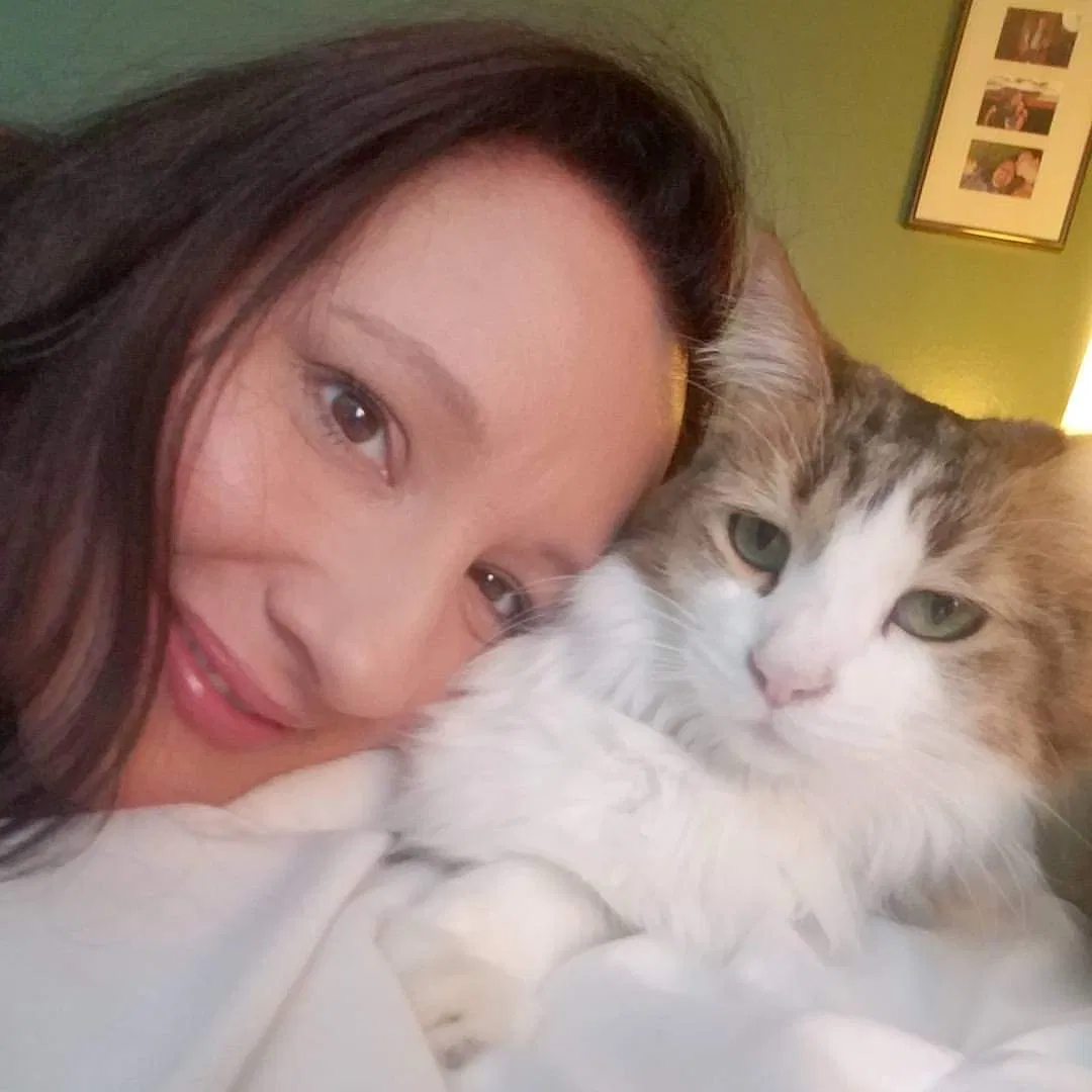 Lost cat in Phoenix, AZ, 85042