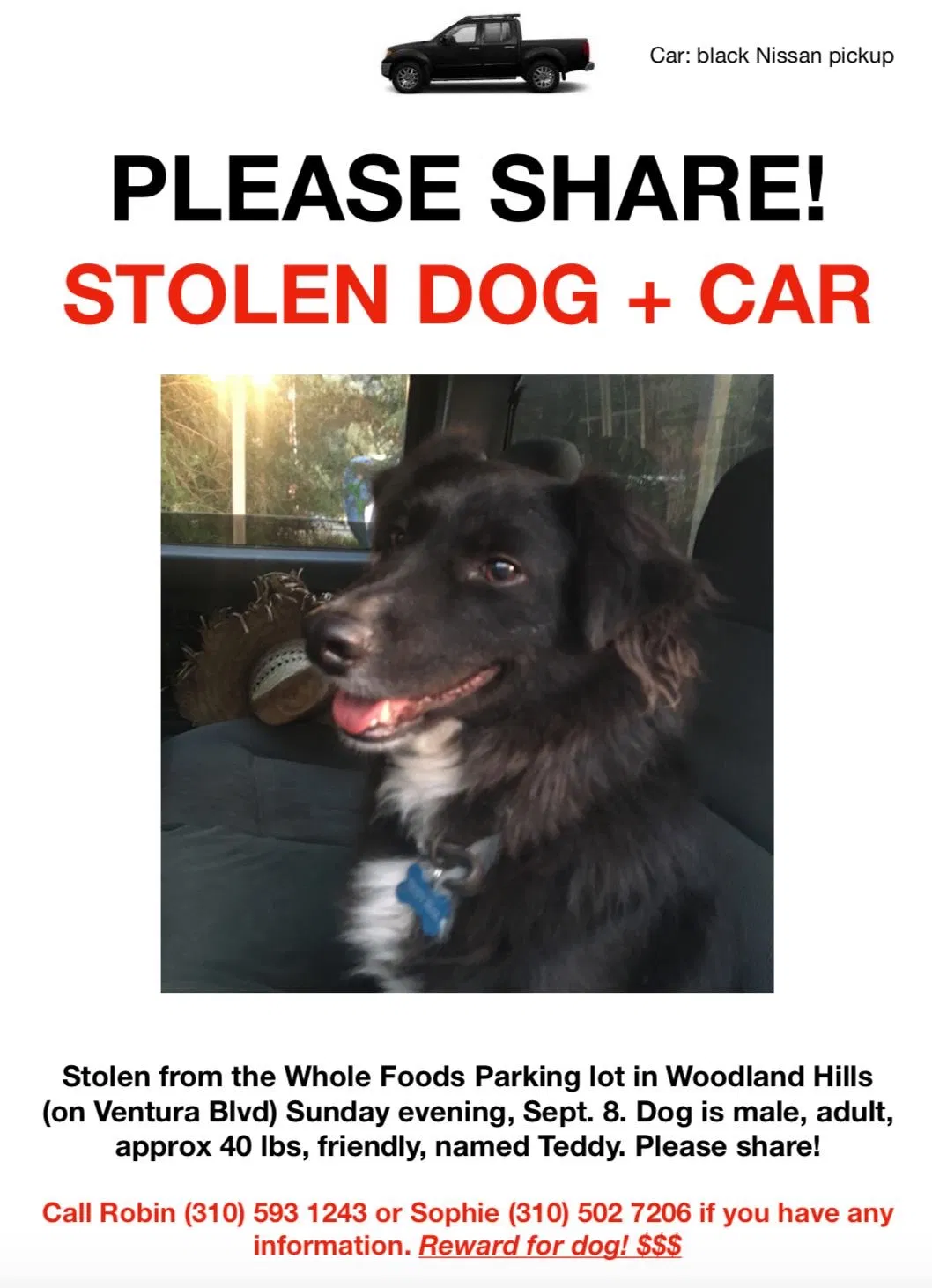 Lost dog in Woodland Hills, CA, 91367