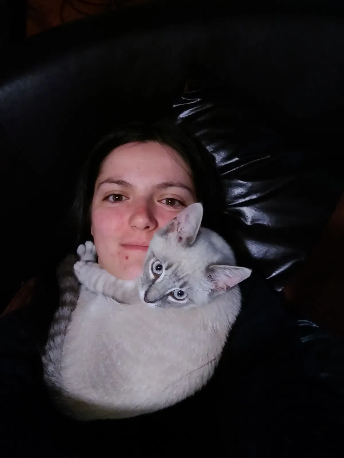 Lost cat in Winston Salem, NC, 27101