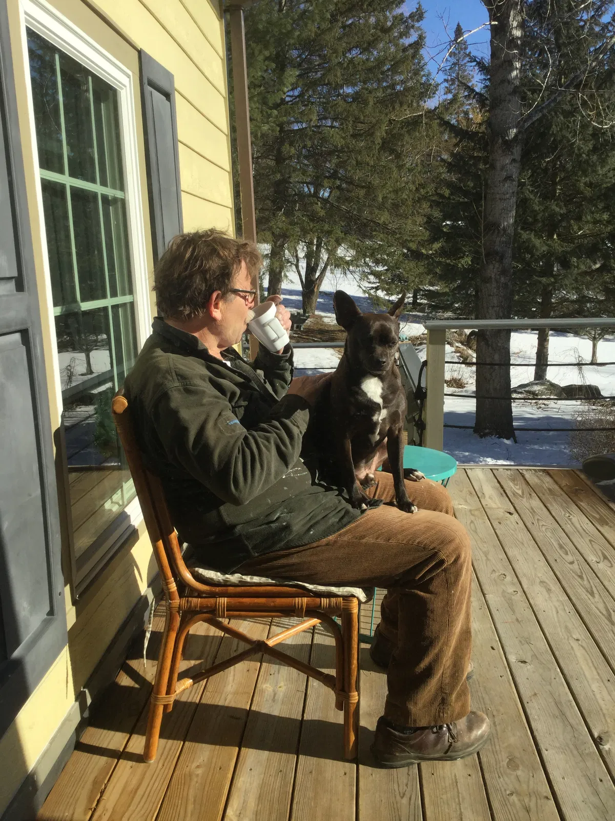 Lost dog in Wilmington, NY, 12997