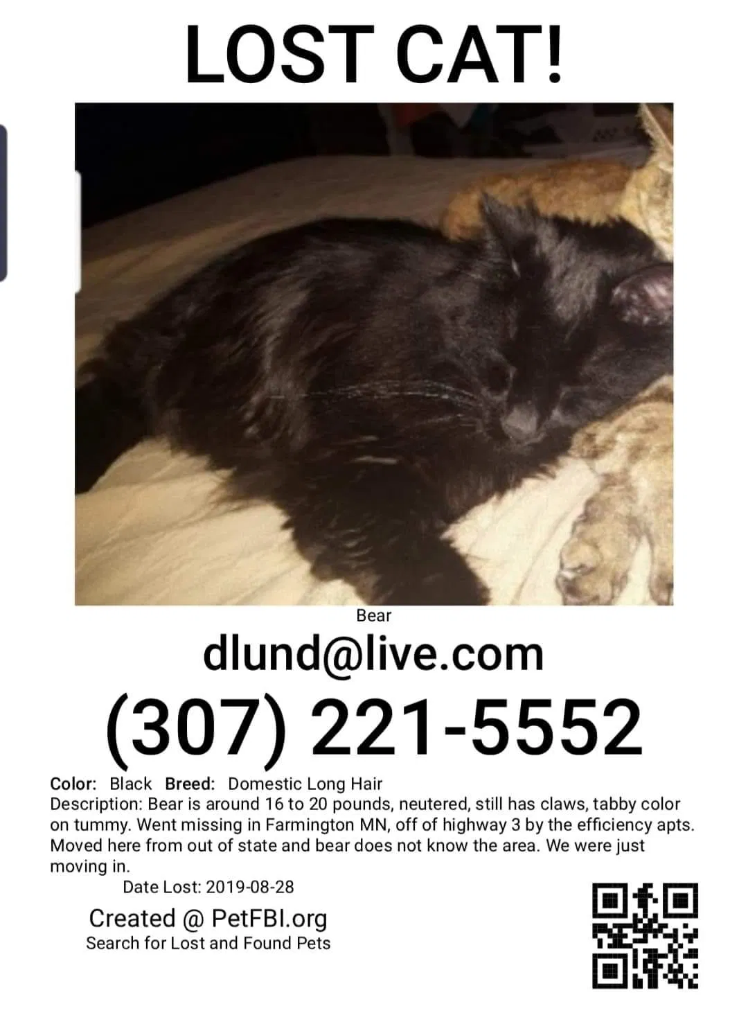 Lost cat in Farmington, MN, 55024