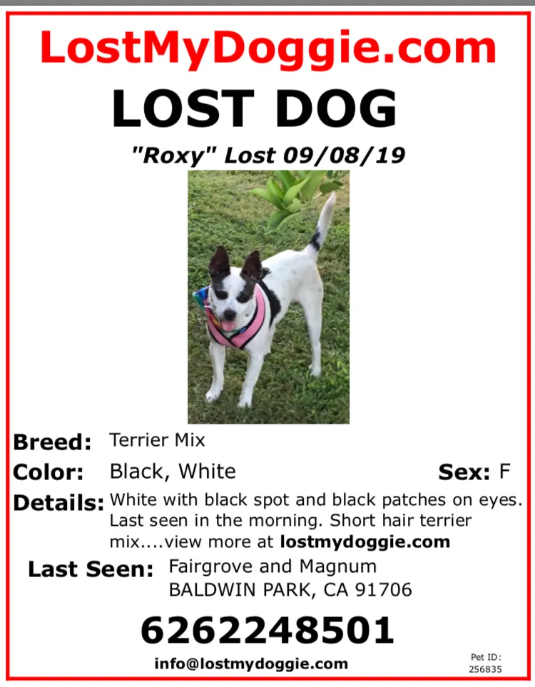 Lost dog in Baldwin Park, CA, 91706